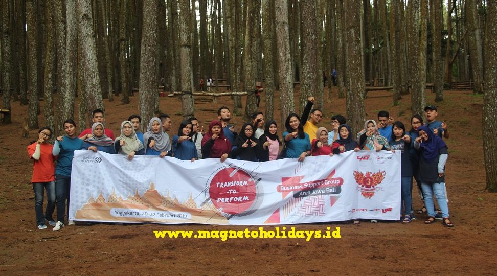 Pinus Asri