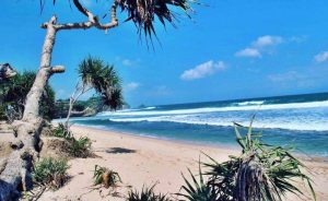 pantai watu kodok