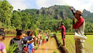 desa wisataa nglanggeran