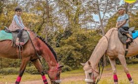 Jogja-Exotarium-Mini-Zoo