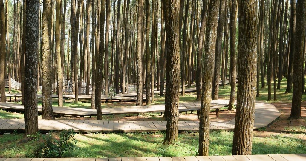 Paket Wisata Jogja 5 Hari 4 Malam