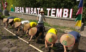 wisata tembi