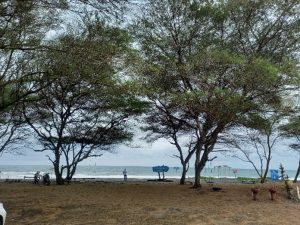 Pantai-Mlarangan-Asri