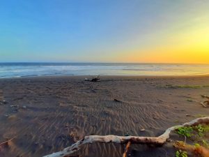 Pantai Mlarangan Asri3