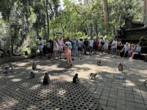 Paket Wisata Bali 3 Hari 2 Malam