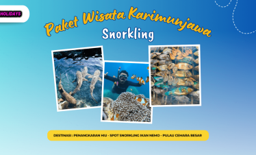 Paket Wisata Karimunjawa Snorkling
