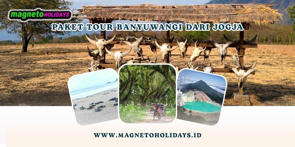 Paket Tour Banyuwangi dari Jogja
