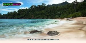Paket Tour Banyuwangi dari Jogja2