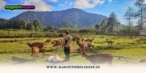 Paket Tour Jakarta Bandung Jogja1