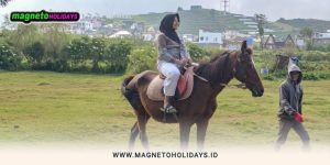 Paket Tour Jogja Dieng2