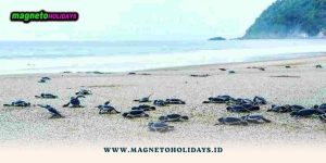 Paket Wisata Banyuwangi dari Jogja1