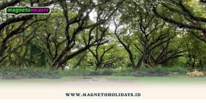 Trip Banyuwangi dari Jogja1