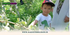 Paket Wisata dari Jogja ke Malang1